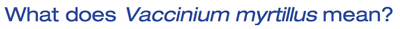 what does Vaccinium myrtillus mean?